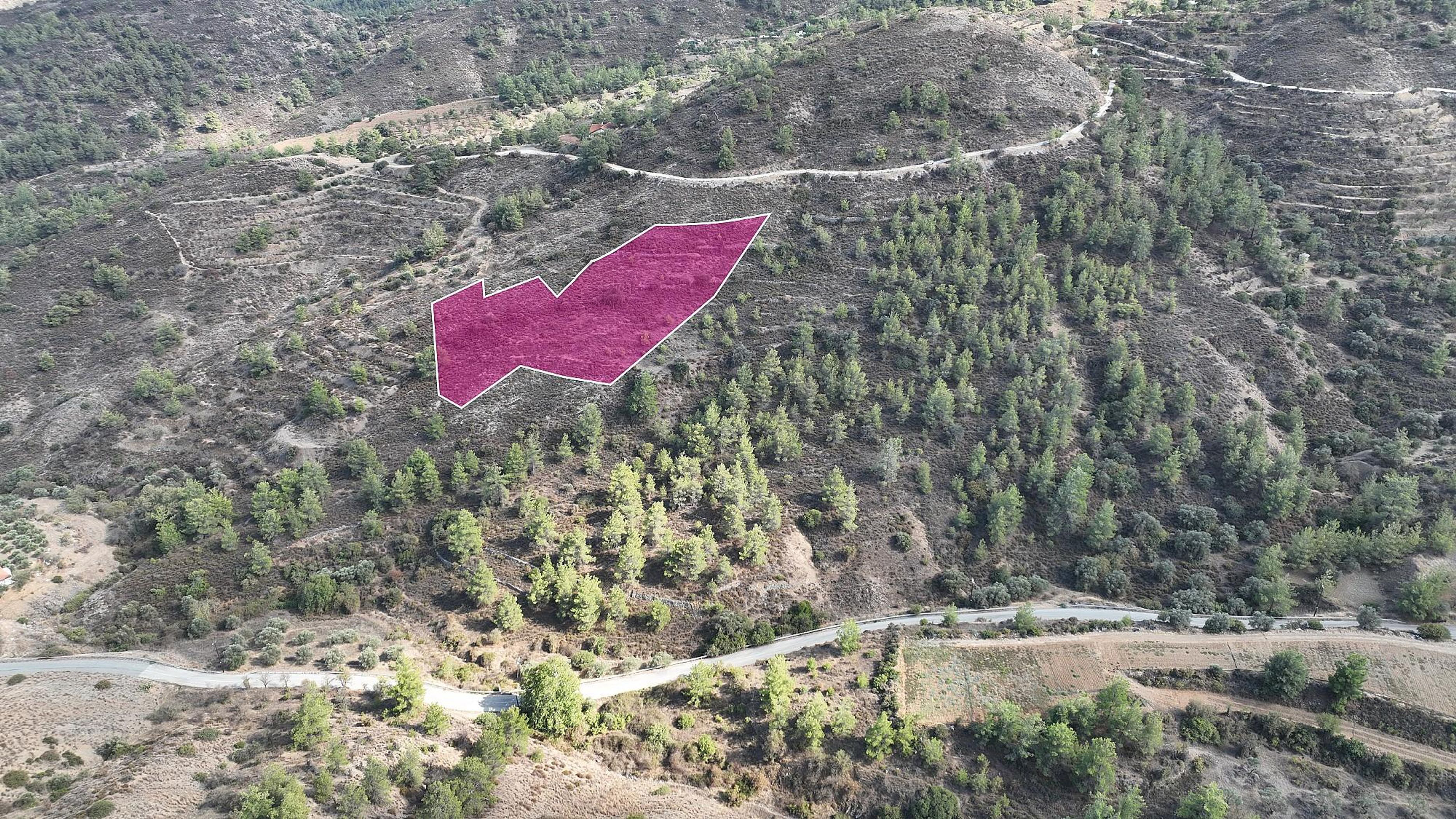 Residential Field - Klirou, Nicosia image 3