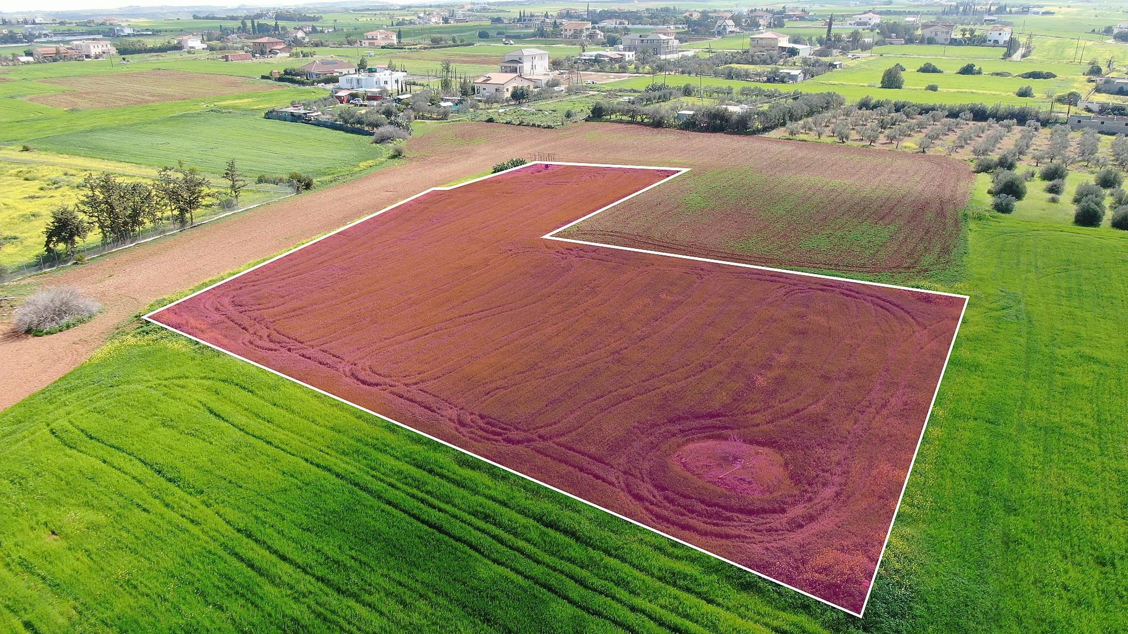 Residential Field - Agioi Trimithias, Nicosia image 4