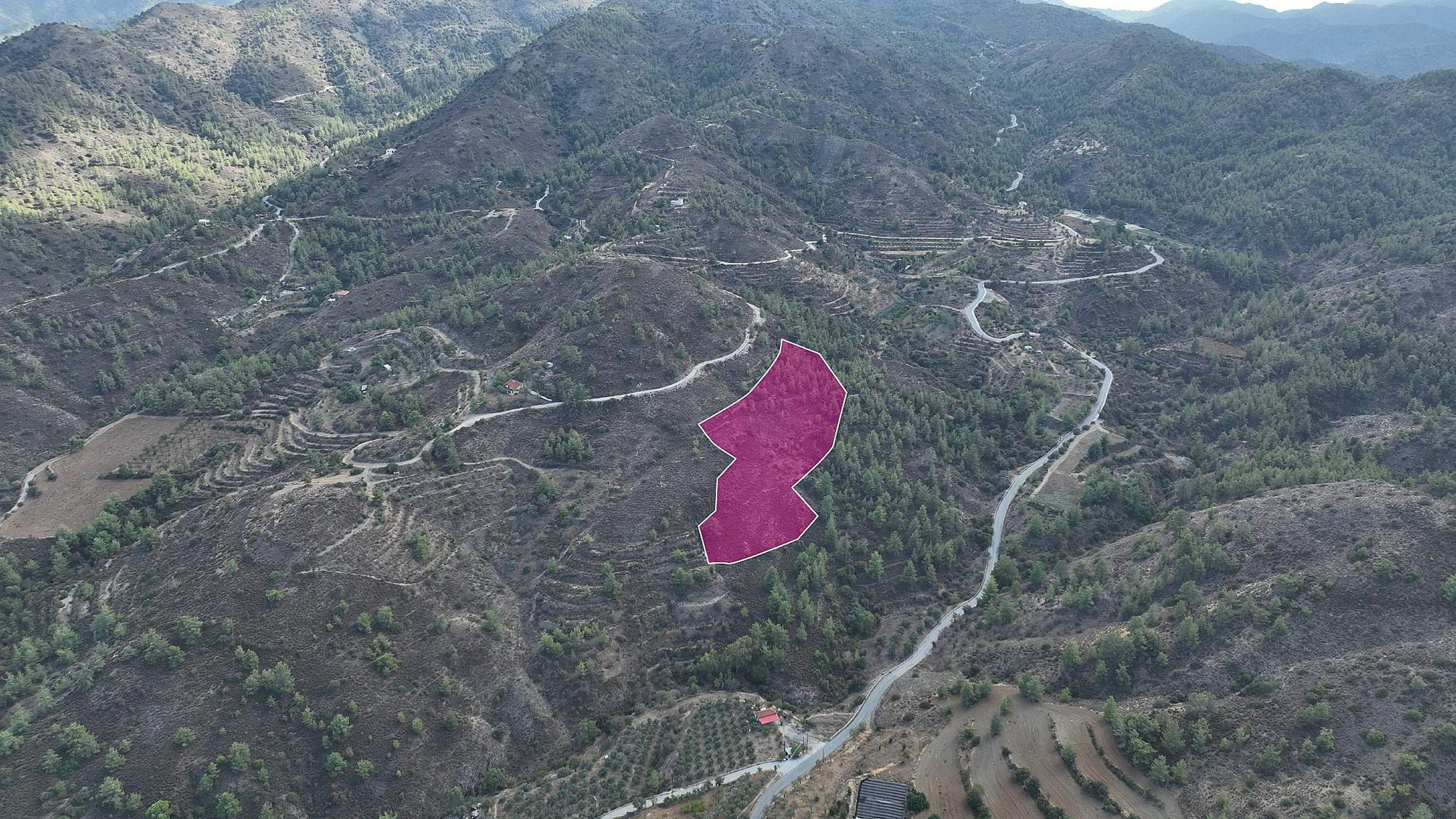 Residential Field - Klirou, Nicosia image 2