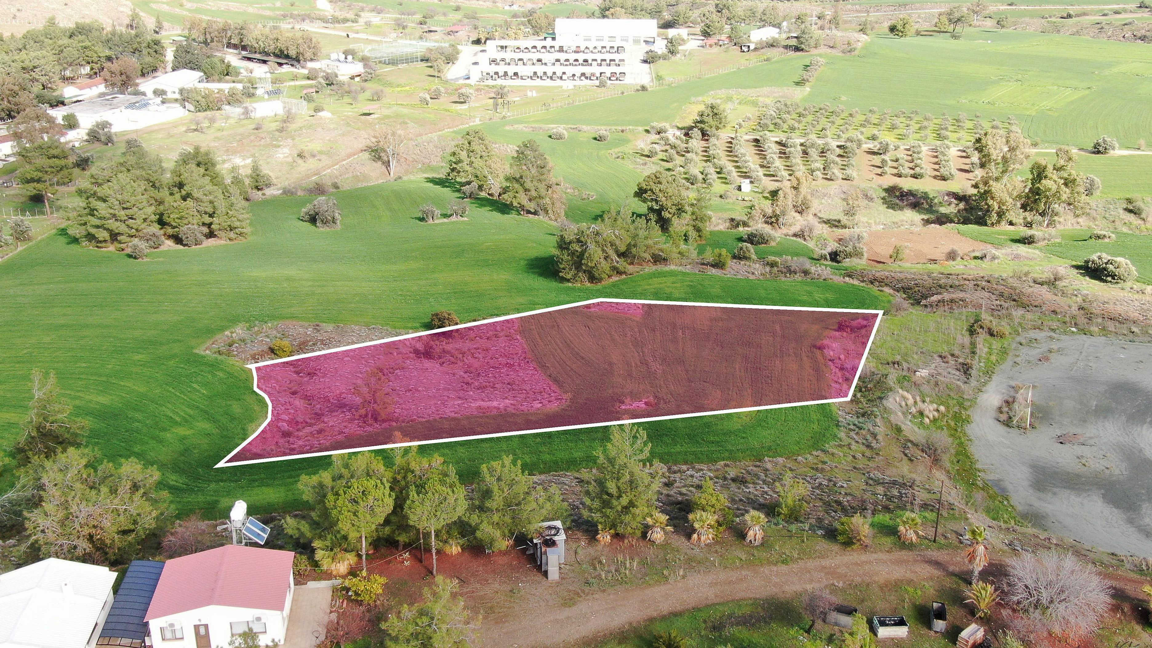 Residential Field - Klirou, Nicosia image 6
