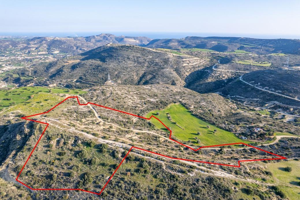Agricultural Field - Choirokoitia, Larnaca