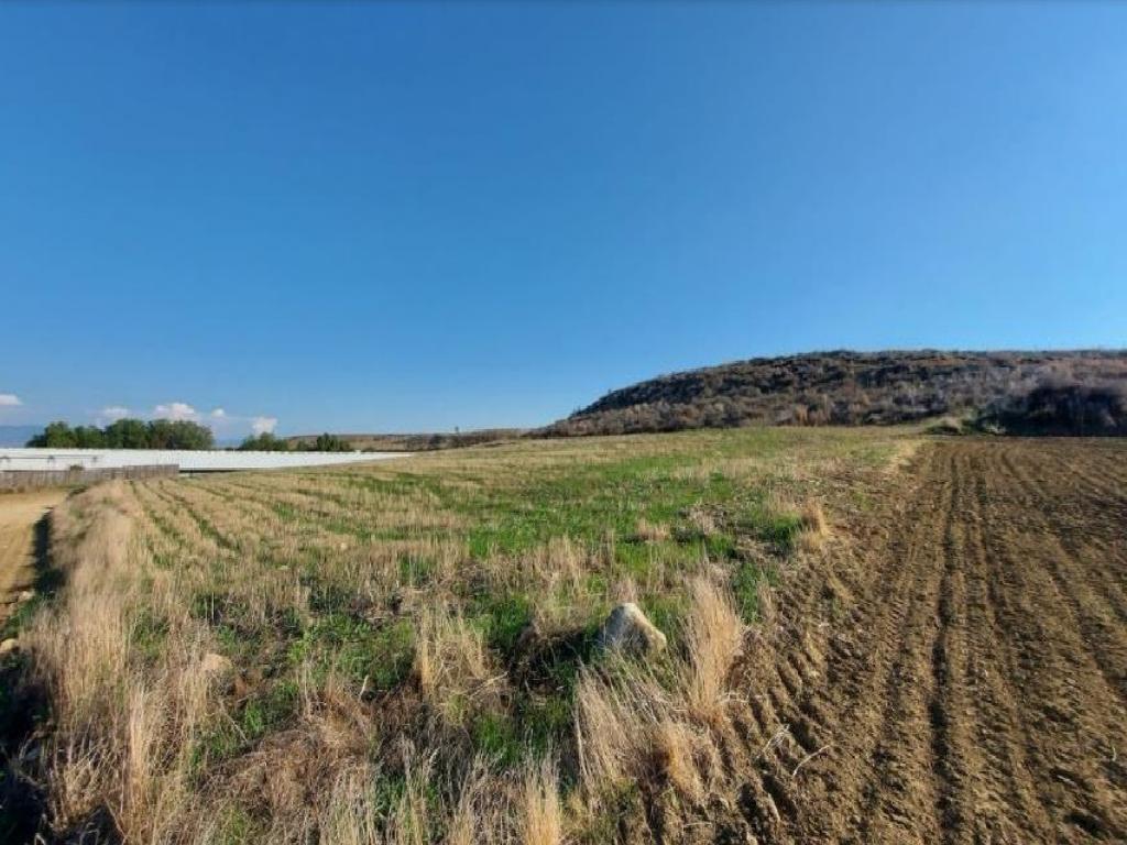 Agricultural Fields (2 units) - Akaki, Nicosia image 2