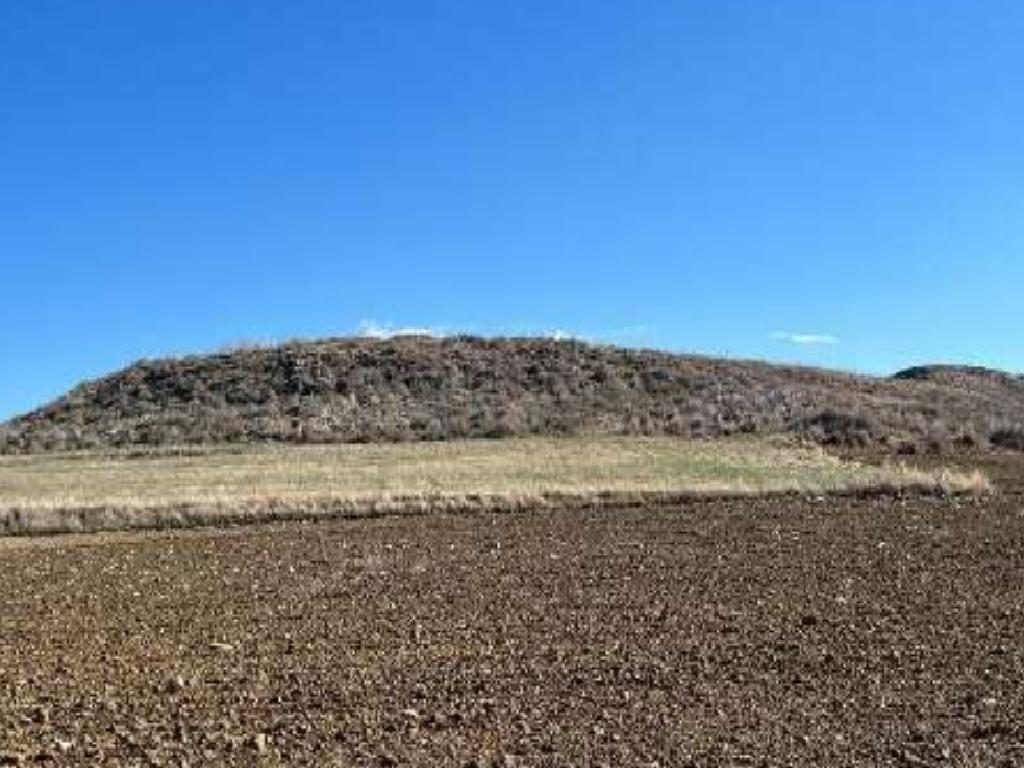 Agricultural Fields (2 units) - Akaki, Nicosia image 3