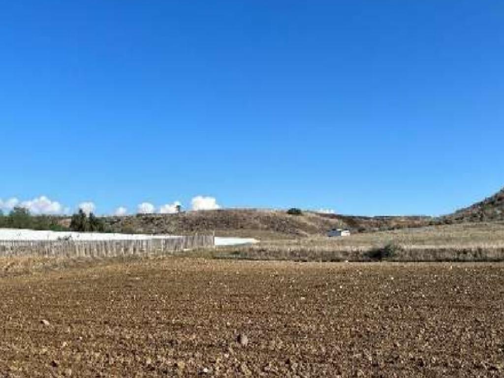Agricultural Fields (2 units) - Akaki, Nicosia image 4