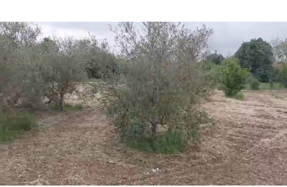 Residential Plot - Potami, Paphos