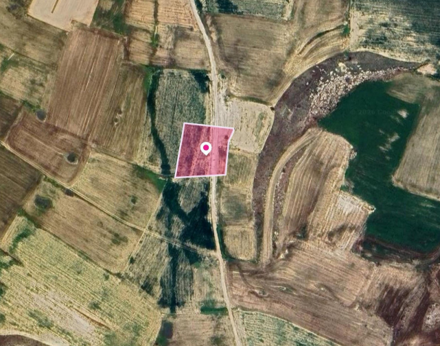 Agricultural field - Kokkinotrimithia, Nicosia