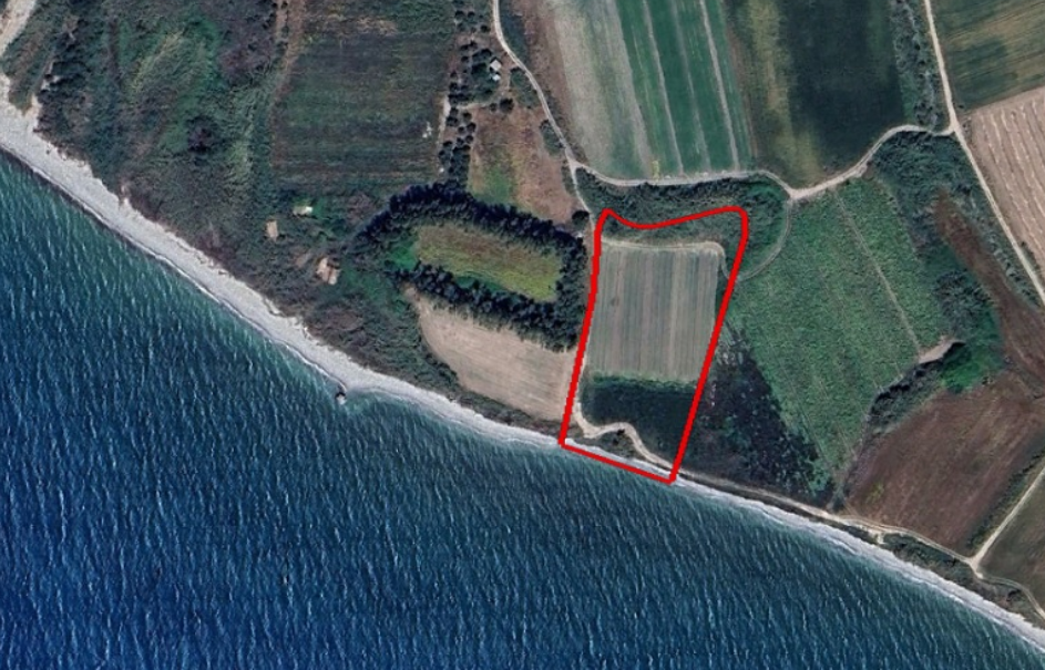 Field- Kouklia, Paphos