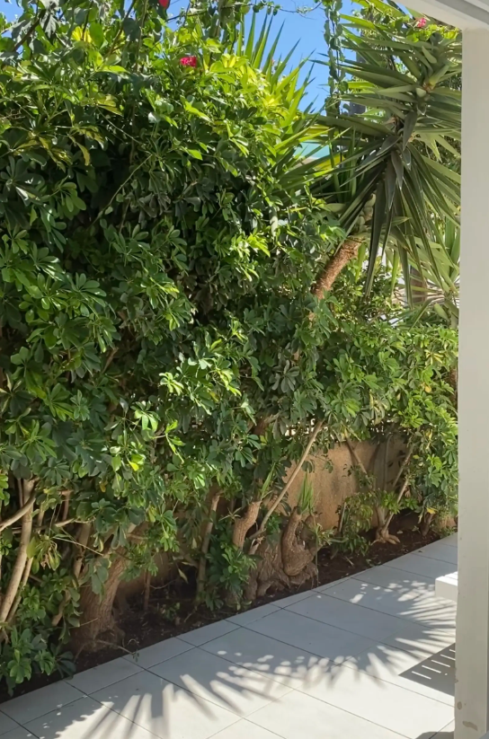 Three-Bedroom Ground Floor House - Paralimni, Famagusta image 5