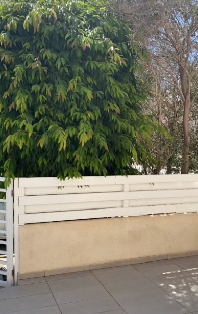 Three-Bedroom Ground Floor House - Paralimni, Famagusta image 6