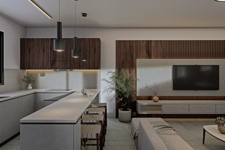 Two Bedroom Penthouse-Latsia, Nicosia image 14