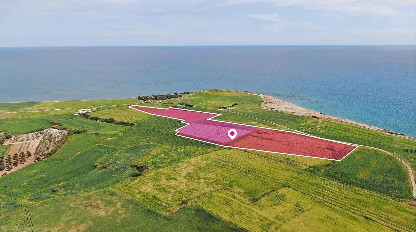 Seaview Field - Mazotos Larnaca