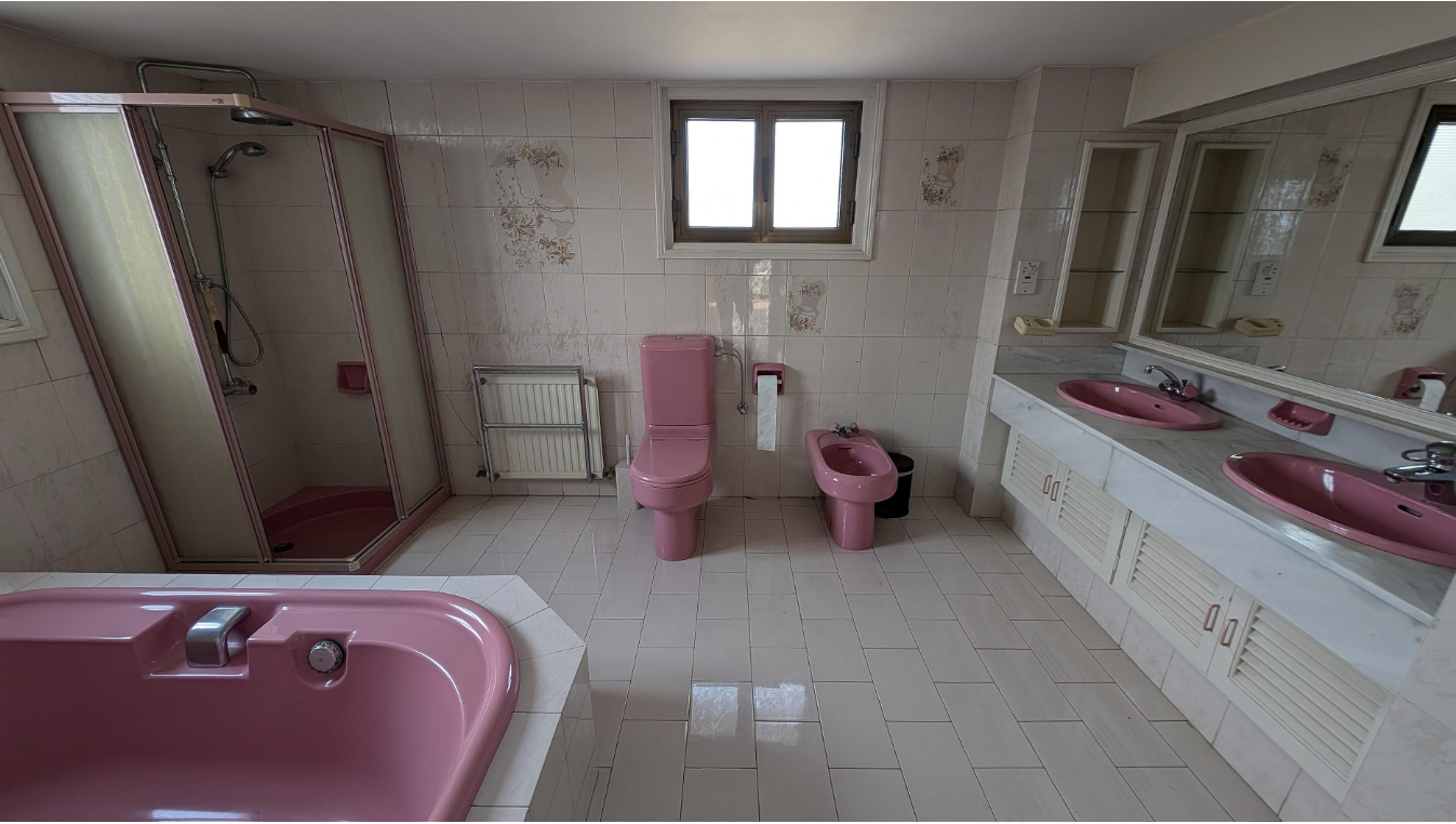 Three Bedroom Villa - Aglantzia, Nicosia image 13