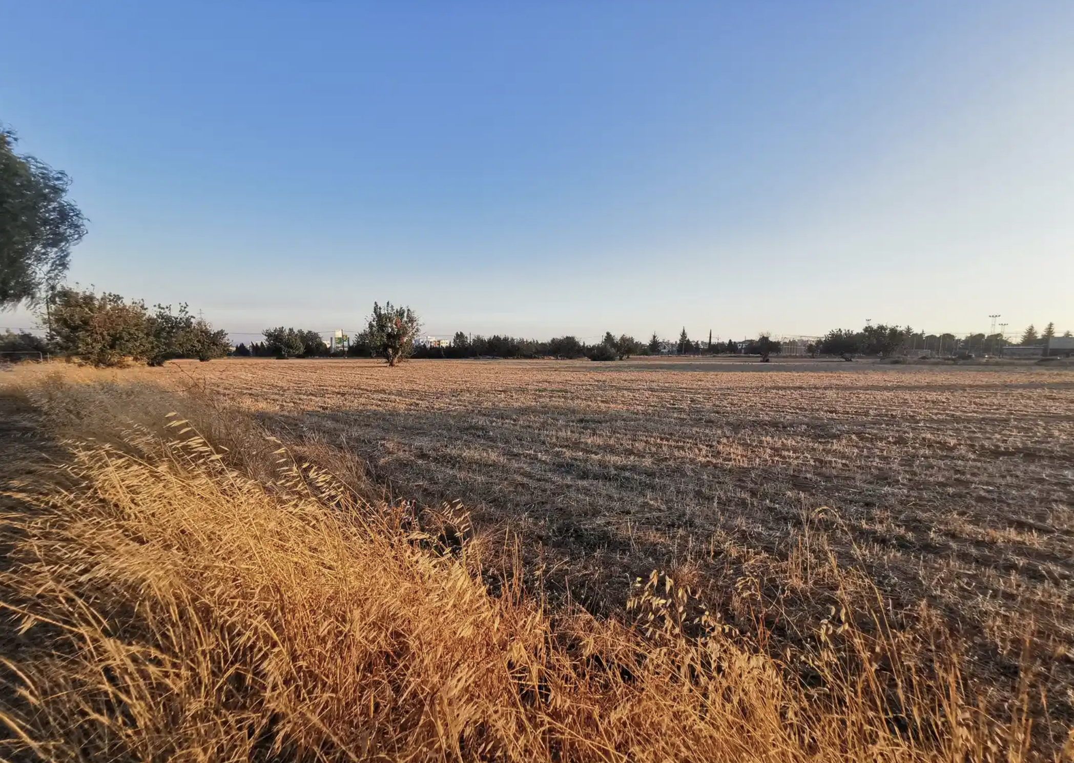 🏡 Prime Residential Field in Kato Polemidia, Limassol image 2