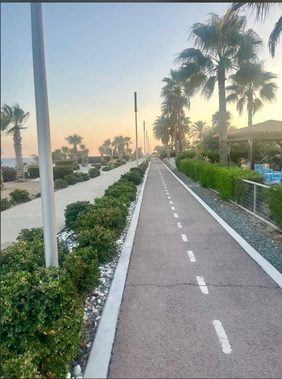 Three Bedroom House - Perivolia, Larnaca image 14