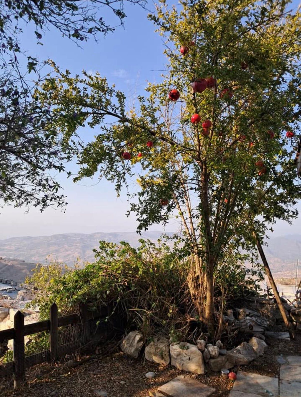 Two Bedroom House, Lasa, Paphos image 3