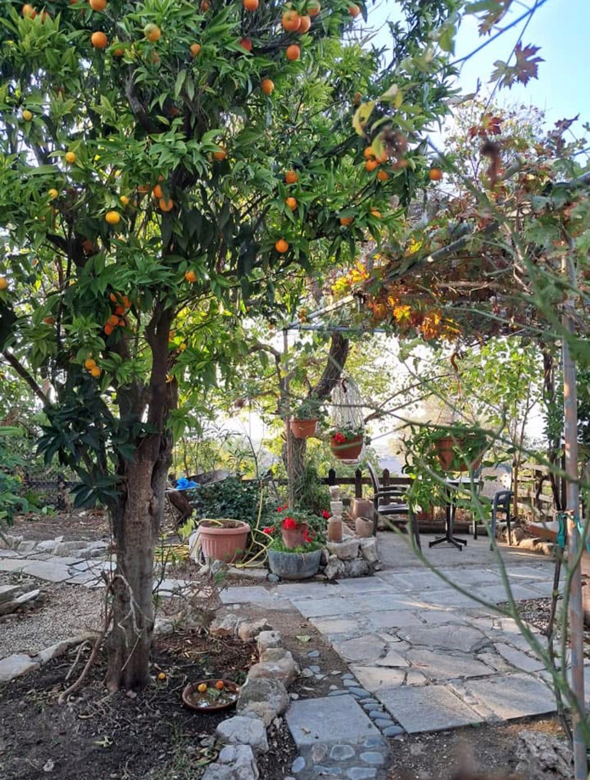 Two Bedroom House, Lasa, Paphos image 9