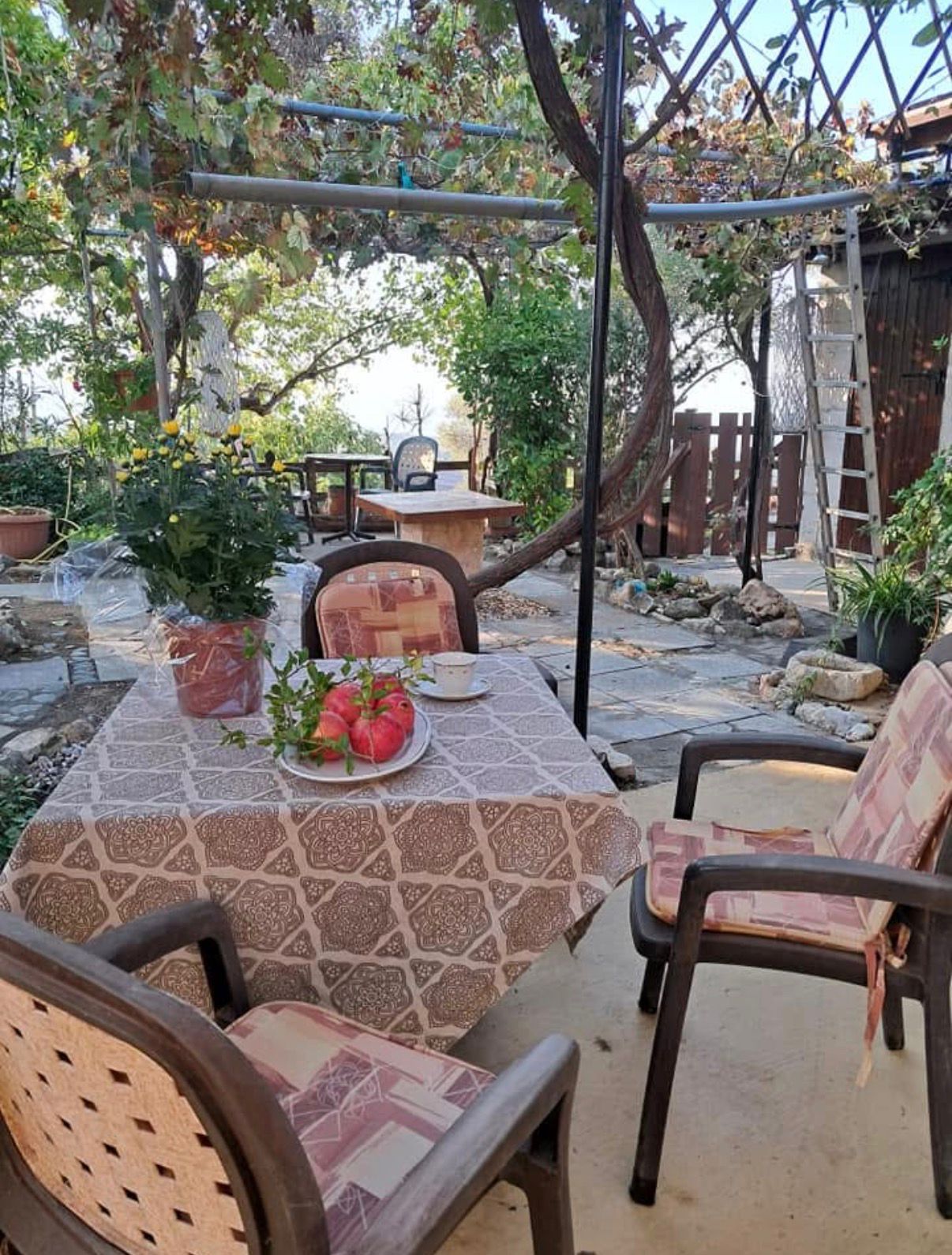 Two Bedroom House, Lasa, Paphos image 10