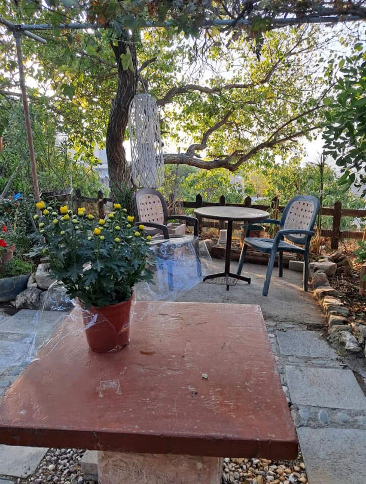 Two Bedroom House, Lasa, Paphos image 12