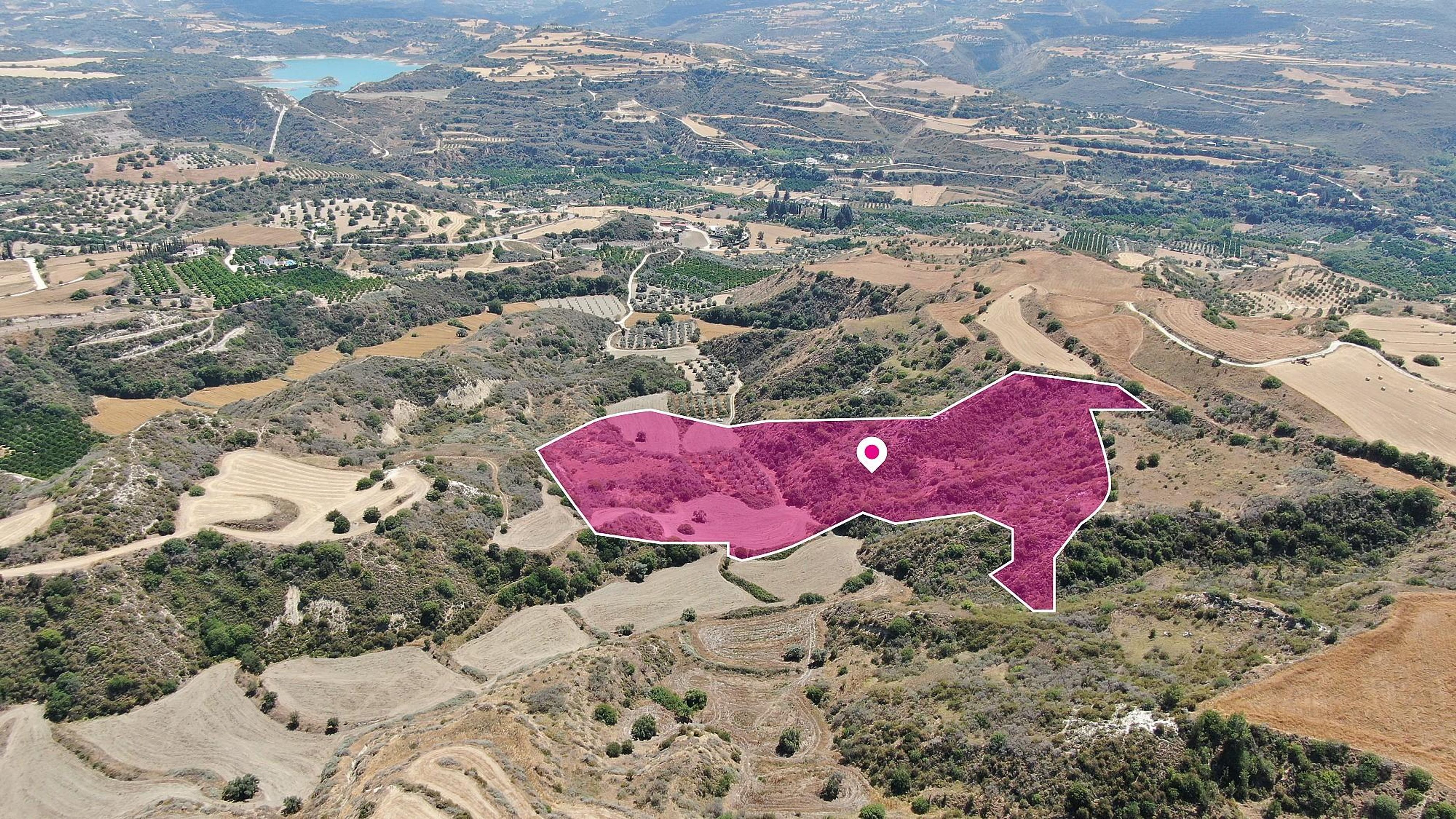 Agricultural Field, Choli, Paphos