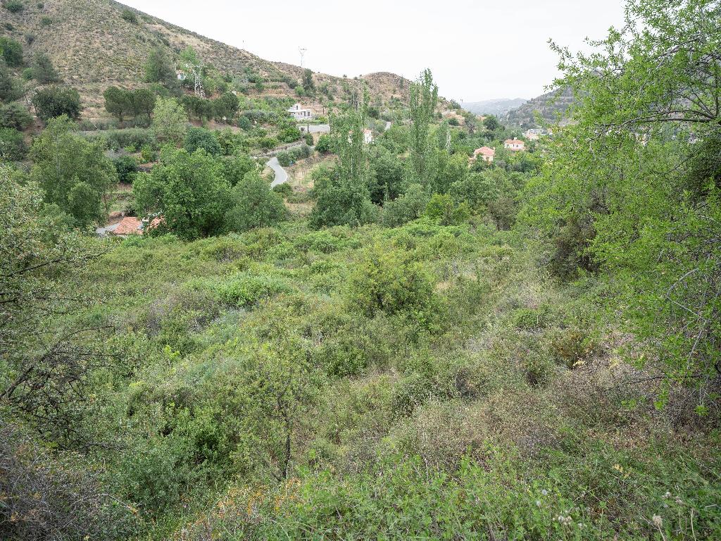 Residential Field - Galata, Nicosia image 6