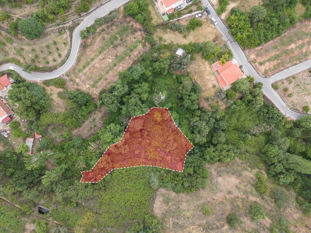 Residential Field - Galata, Nicosia