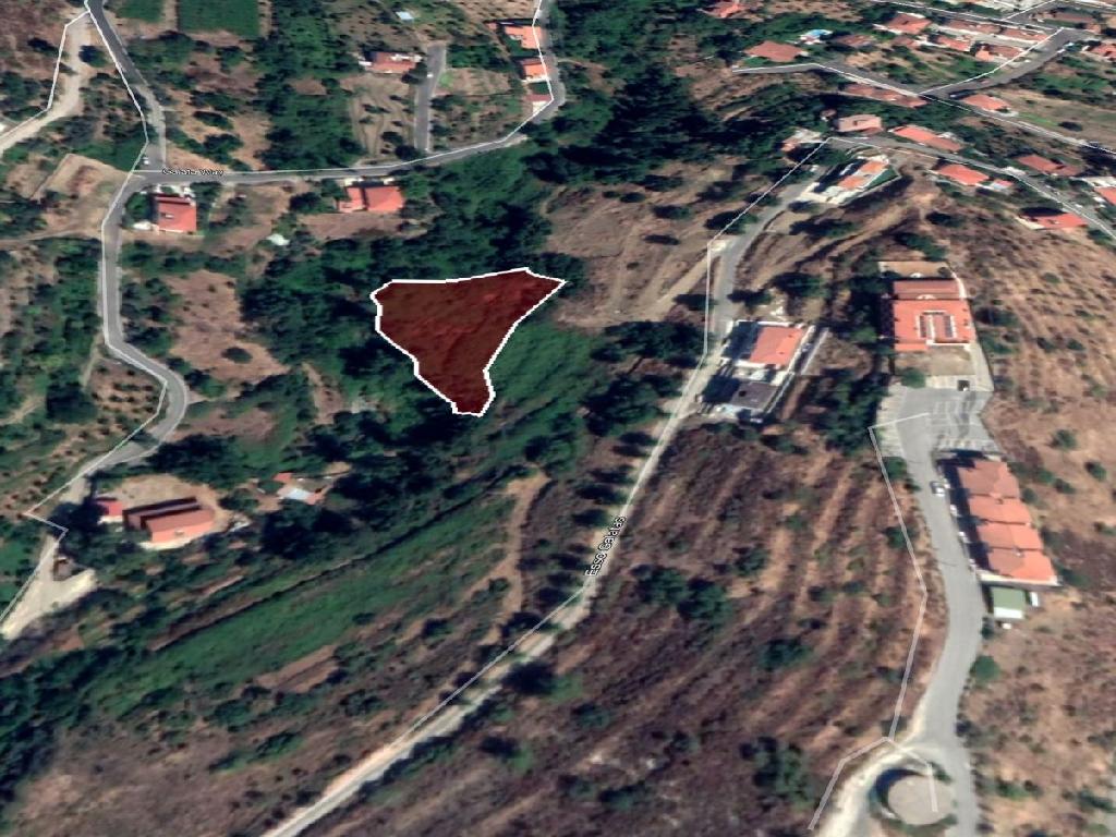 Residential Field - Galata, Nicosia image 7