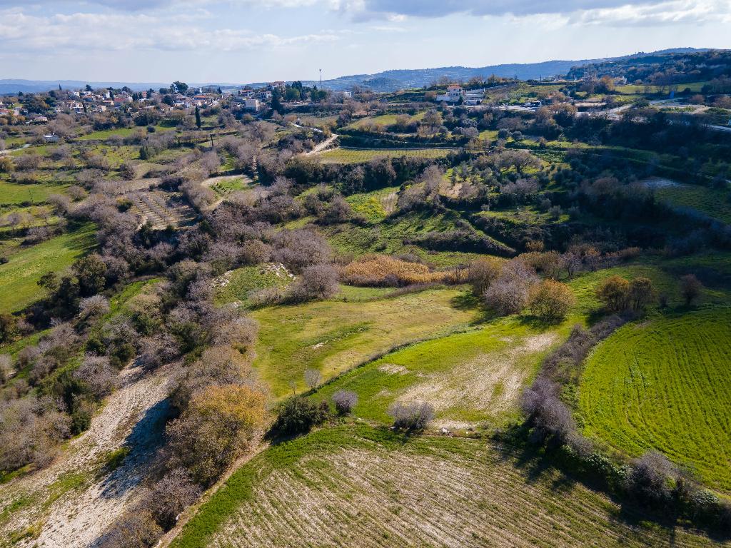 Agricultural Field - Stroumpi, Paphos image 5