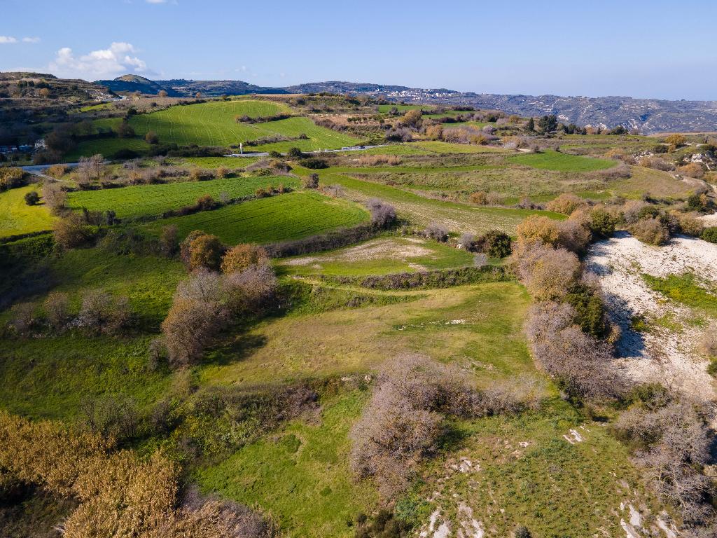 Agricultural Field - Stroumpi, Paphos image 6