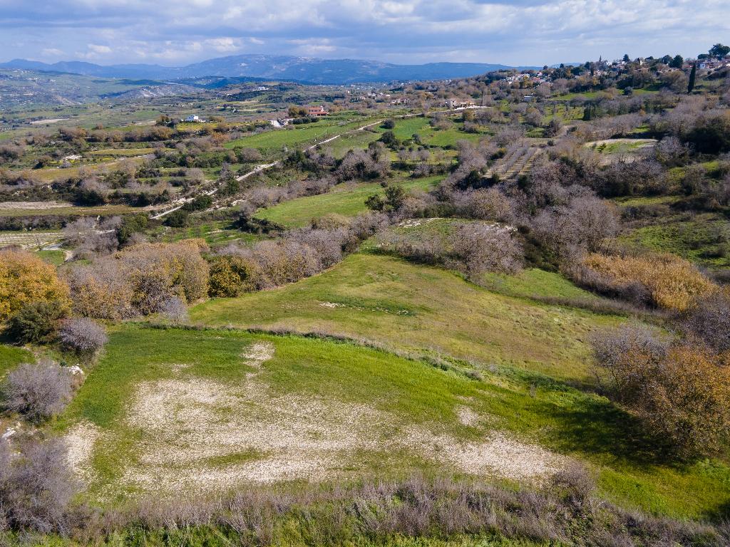 Agricultural Field - Stroumpi, Paphos image 7