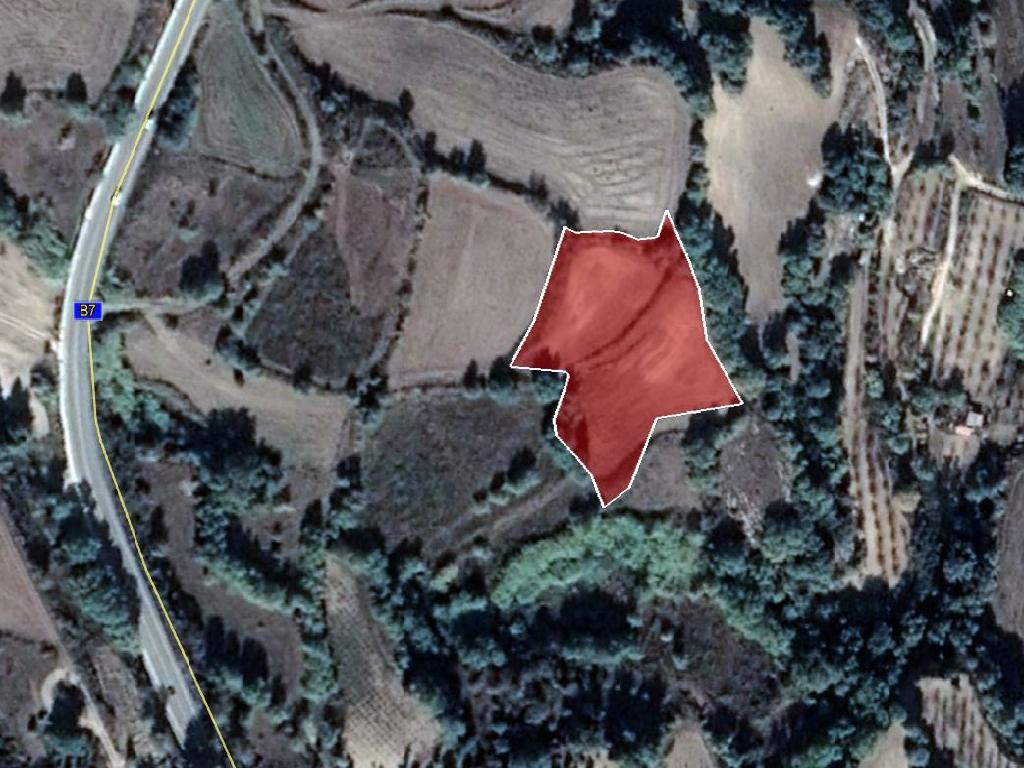 Agricultural Field - Stroumpi, Paphos image 8