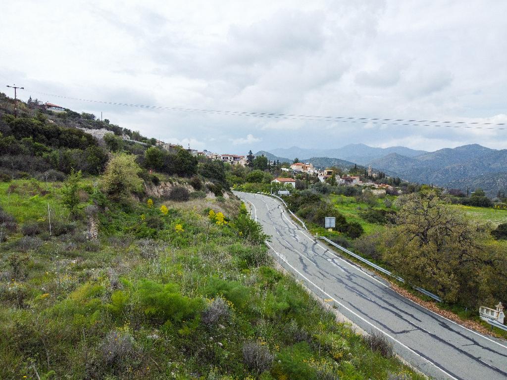 Residential Field - Vavla, Larnaca image 5