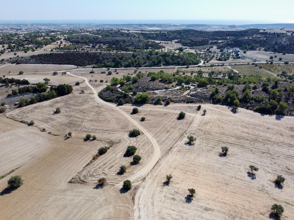Agricultural Field - Anafotida, Larnaca image 2