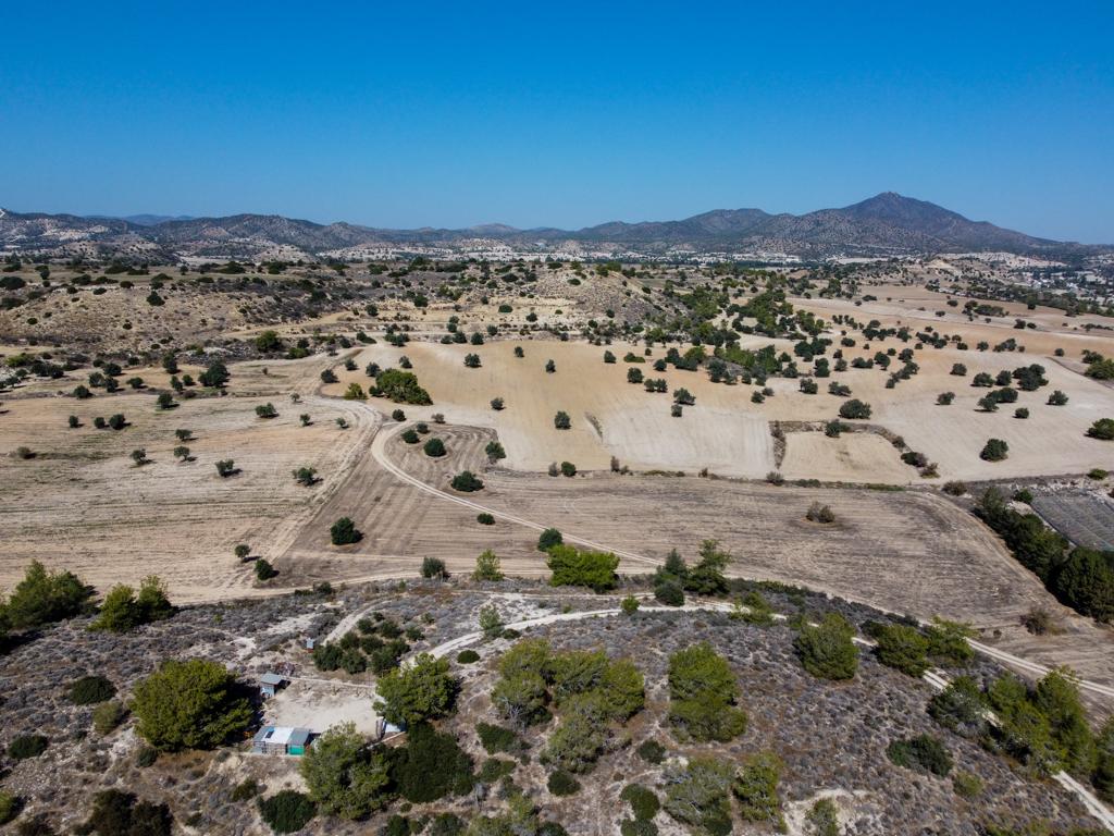 Agricultural Field - Anafotida, Larnaca image 4