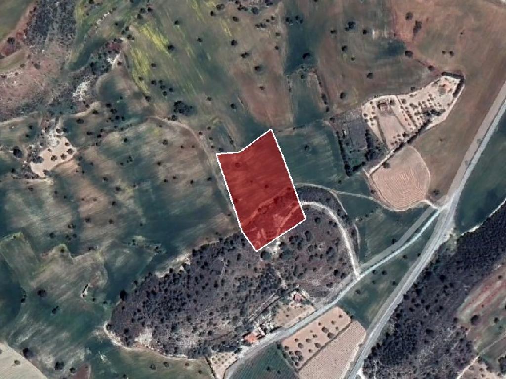 Agricultural Field - Anafotida, Larnaca image 6