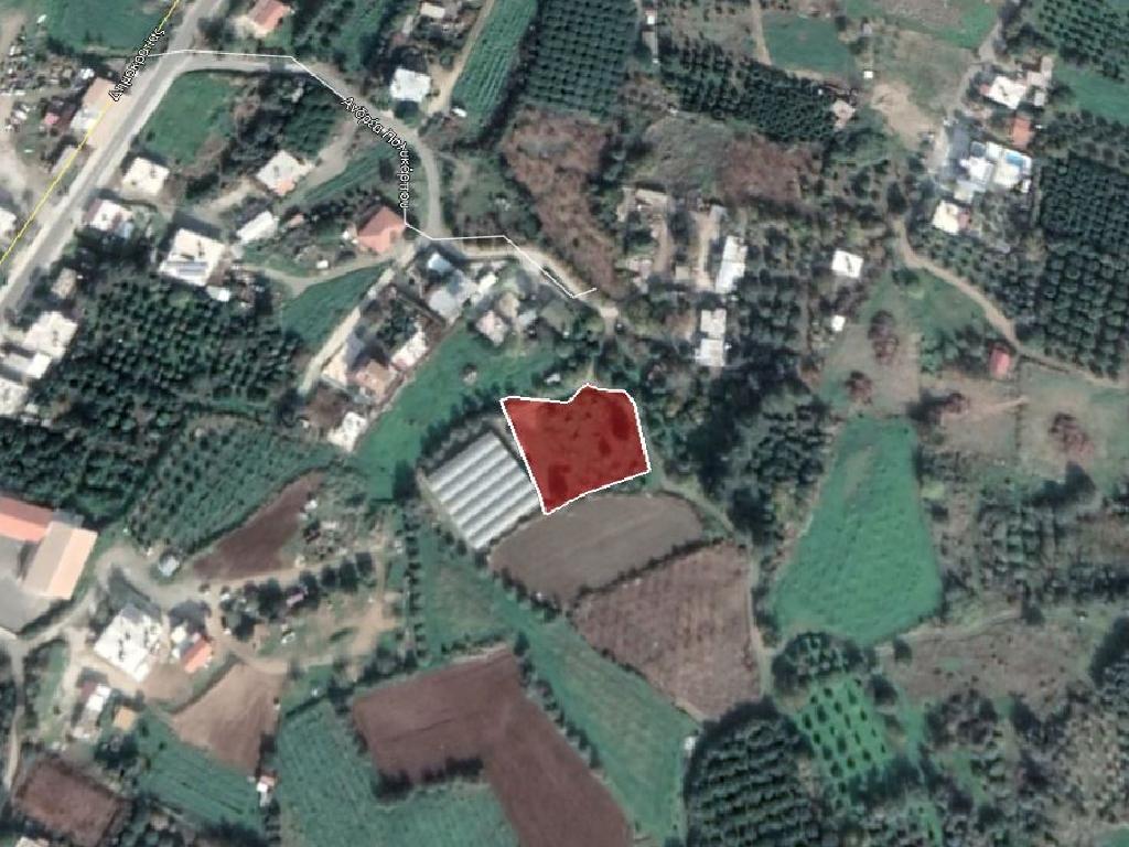 Residential Field - Agia Marina Chrysochous, Paphos image 5