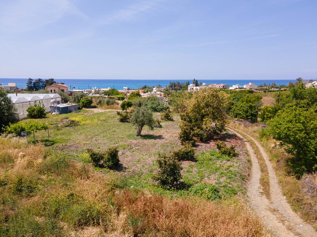 Residential Field - Agia Marina Chrysochous, Paphos image 4