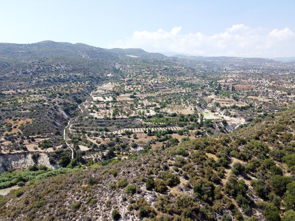 Agricultural field - Limnatis, Limassol
