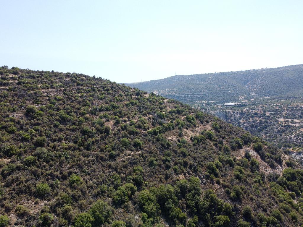 Agricultural field - Limnatis, Limassol image 4