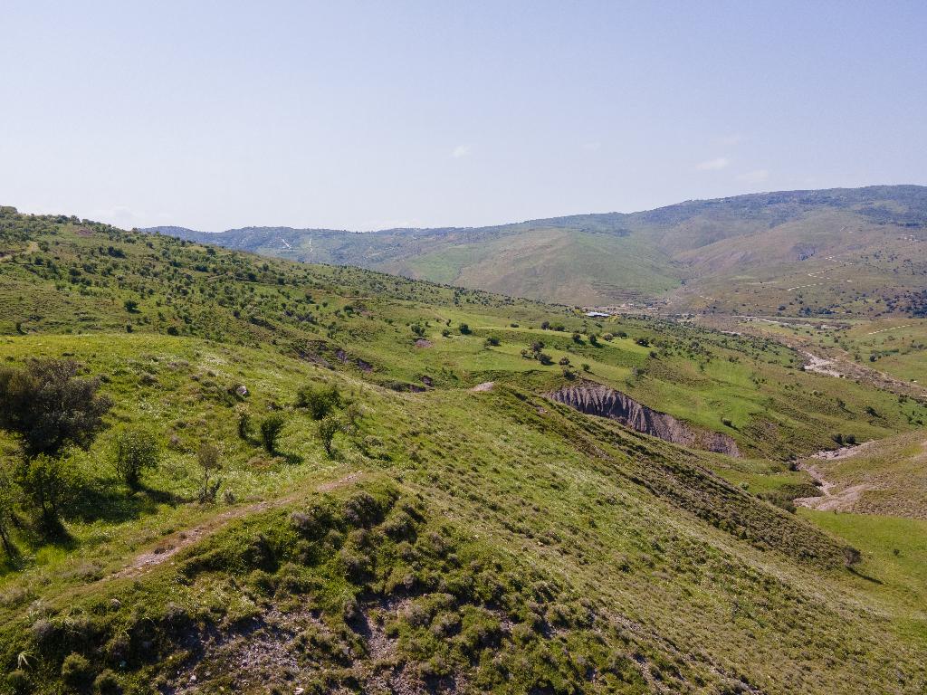 Agricultural Field - Kelokedara, Paphos image 2