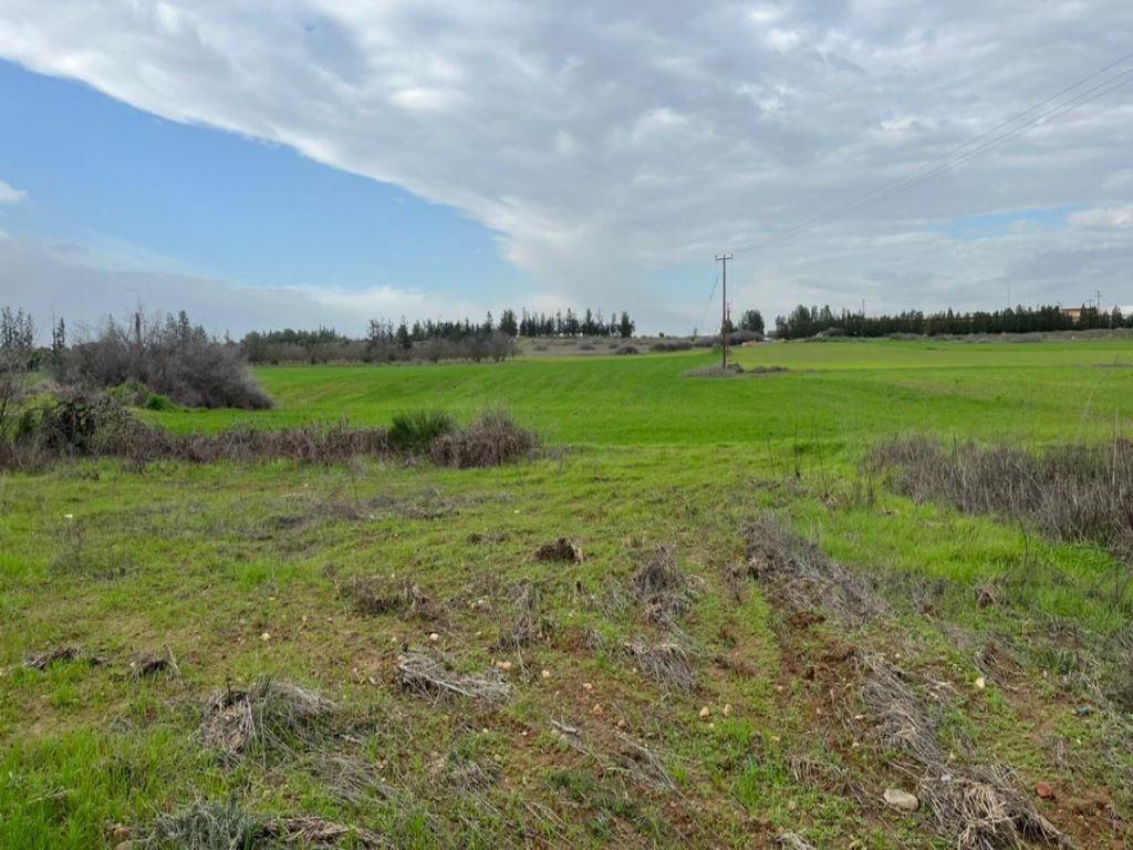 Residential Field - Geri, Nicosia image 6
