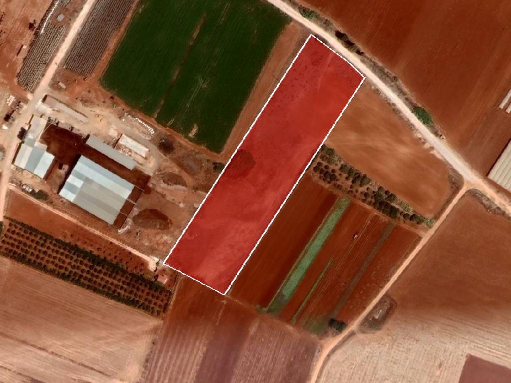 Agricultural Field - Ormideia, Larnaca image 4