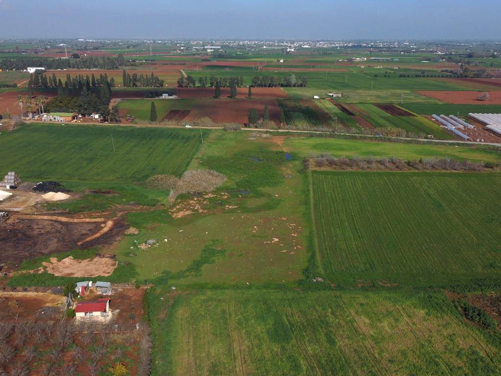 Agricultural Field - Ormideia, Larnaca image 2