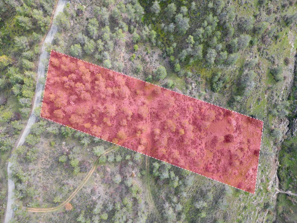 Agricultural Field - Mitsero, Nicosia