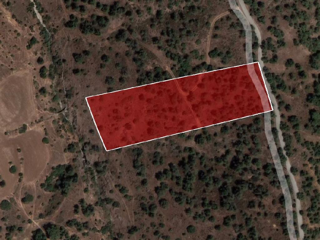 Agricultural Field - Mitsero, Nicosia image 7