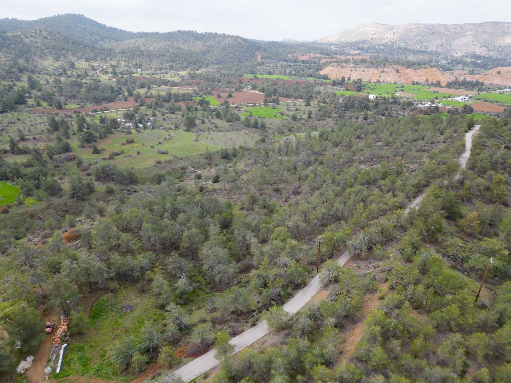 Agricultural Field - Mitsero, Nicosia image 3