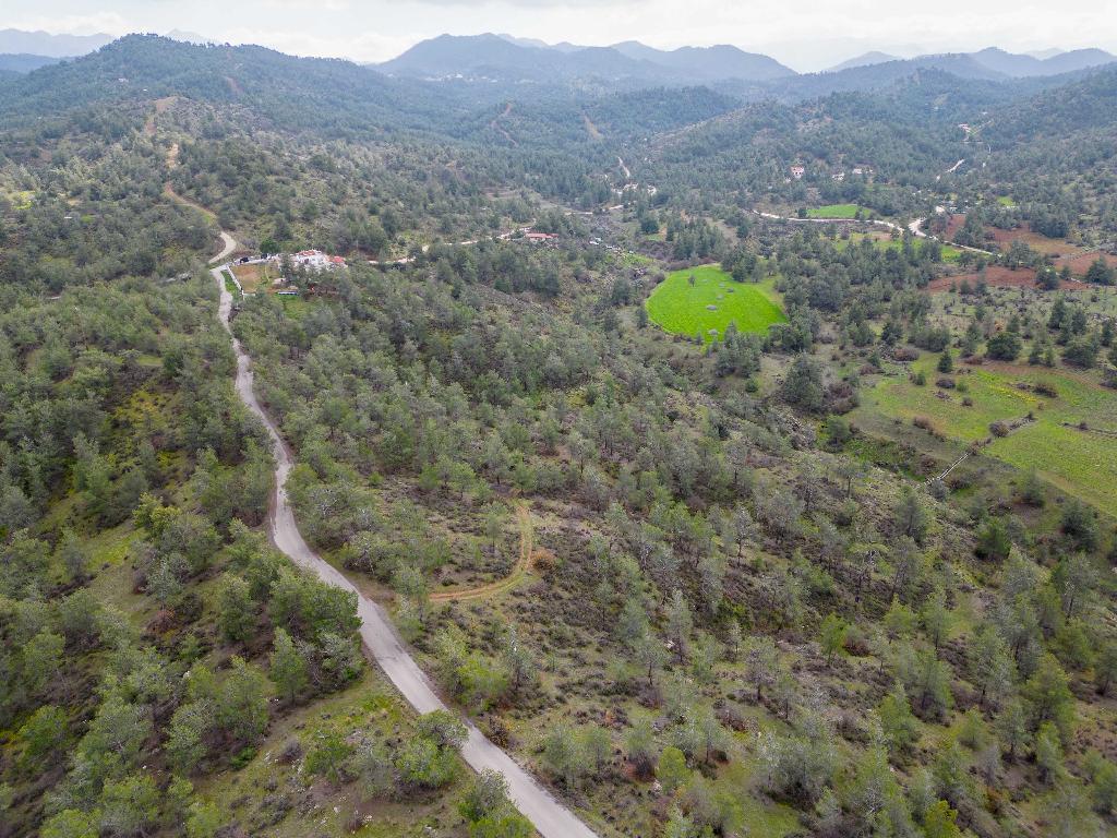 Agricultural Field - Mitsero, Nicosia image 4