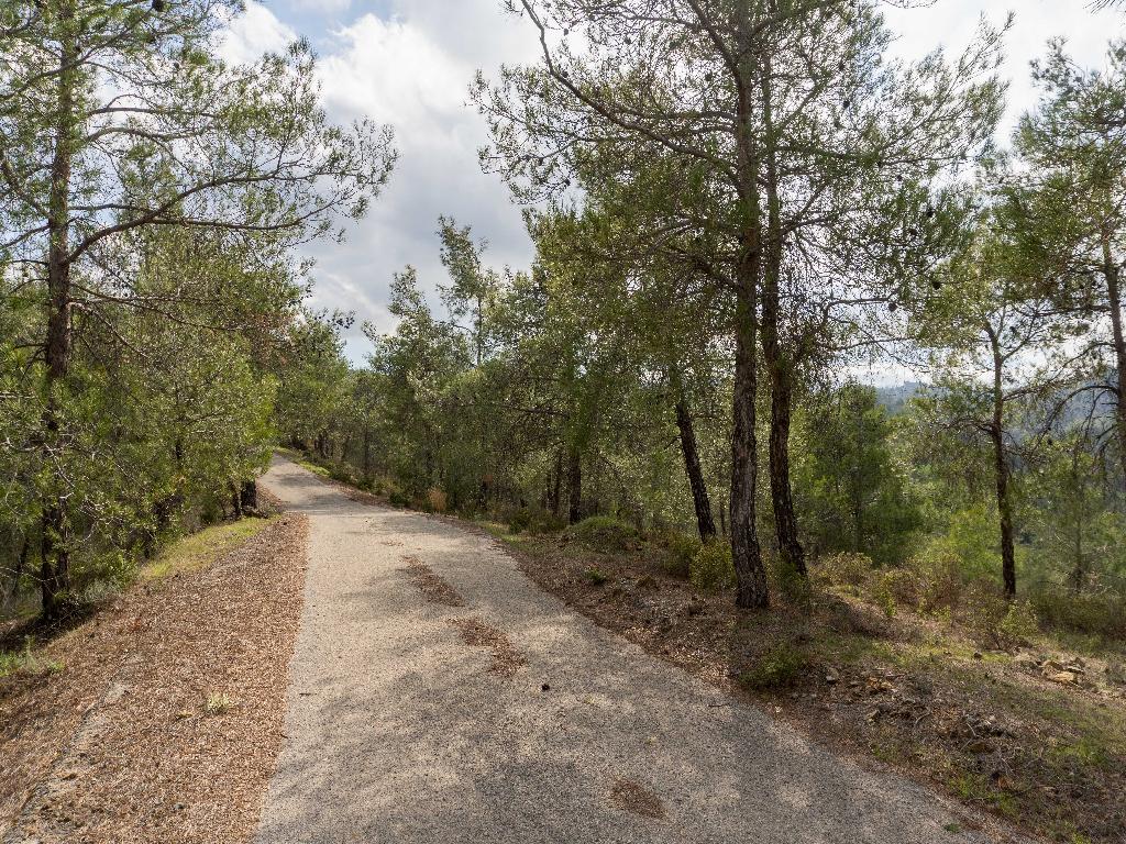 Agricultural Field - Mitsero, Nicosia image 2
