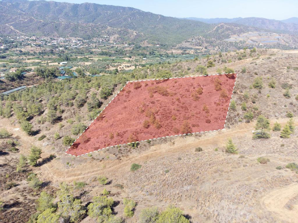 Agricultural Field - Evrychou, Nicosia
