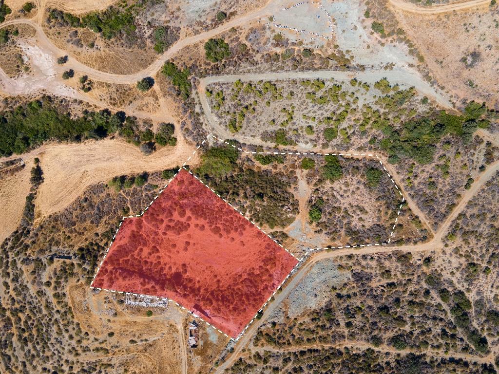 Residential Field - Kissonerga, Paphos