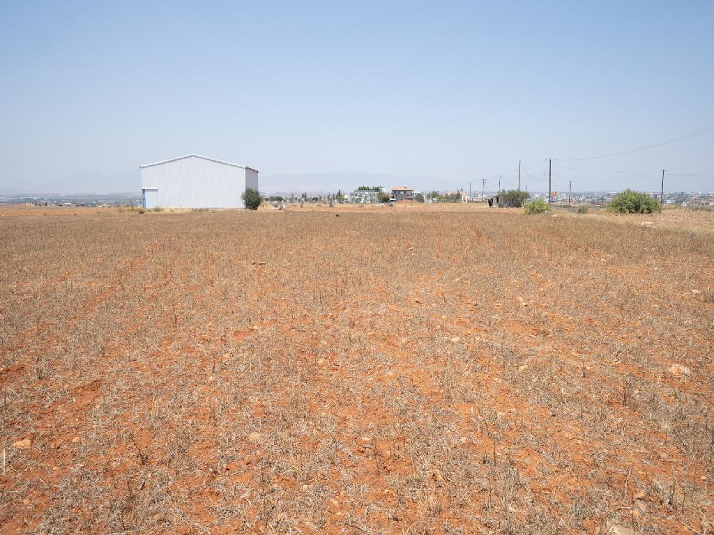 Residential Field - Paliometocho, Nicosia image 4